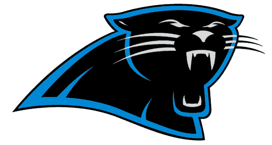 Carolina Panthers 1995-2011 Primary Logo iron on transfers for fabric